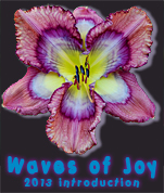 H. 'Waves of Joy' 2013 introduction from Dan Trimmer